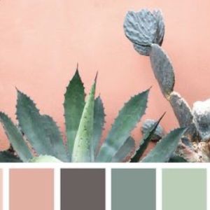 Meet your Posher, Alayna